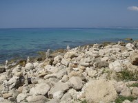 Jónicas Kefalonia y Zakynthos - Blogs de Grecia - Kefalonia (116)